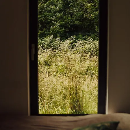 Nowoczesne Na Lace & Na Drzewie - Kolobrzeg - Sauna & Balia - Polanaglamp *