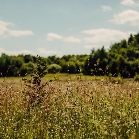 Nowoczesne Na Lace & Na Drzewie - Kolobrzeg - Sauna & Balia - Polanaglamp Hébergement de vacances