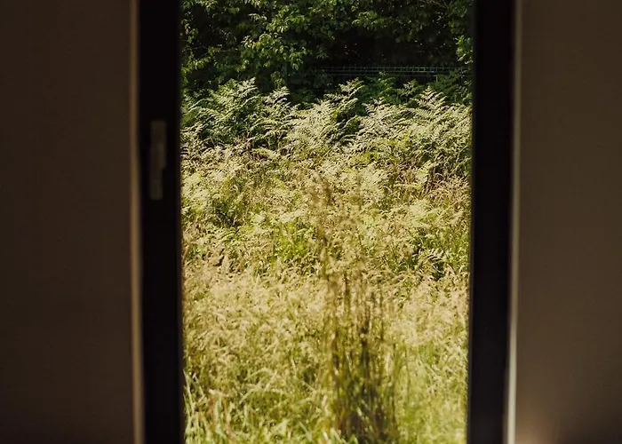 Nowoczesne Na Lace & Na Drzewie - Kolobrzeg - Sauna & Balia - Polanaglamp *