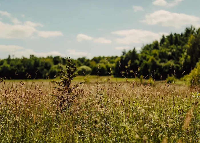 Nowoczesne Na Lace & Na Drzewie - Kolobrzeg - Sauna & Balia - Polanaglamp Сasa de vacaciones