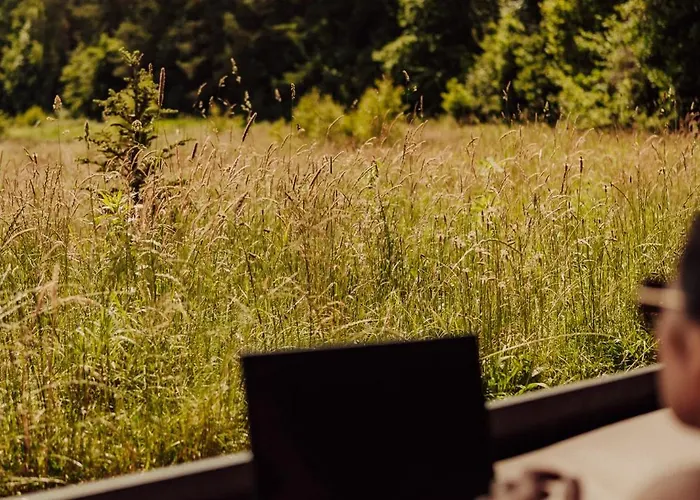 Nowoczesne Na Lace & Na Drzewie - Kolobrzeg - Sauna & Balia - Polanaglamp *